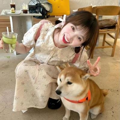 等候董建华发落国语海报