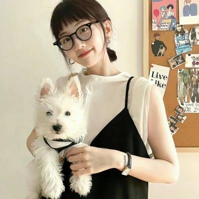 佛罗伦萨人海报
